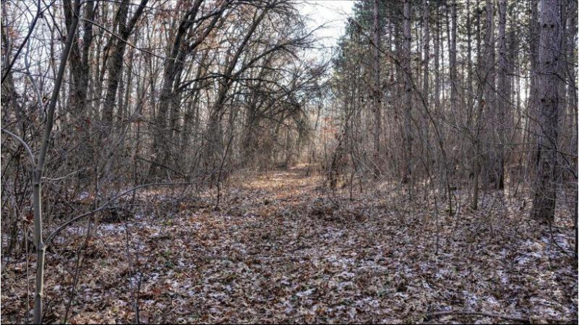 88.7+/- ACRES Highway 80 Lisbon, WI 53950 by Whitetail Dreams Real Estate $366,000