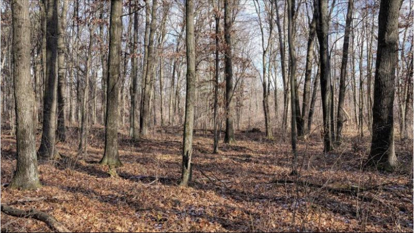 88.7+/- ACRES Highway 80 Lisbon, WI 53950 by Whitetail Dreams Real Estate $366,000