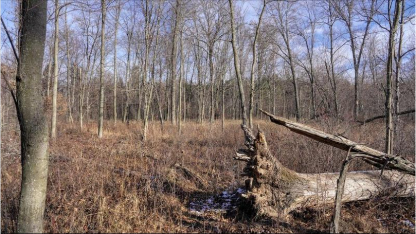 88.7+/- ACRES Highway 80 Lisbon, WI 53950 by Whitetail Dreams Real Estate $366,000