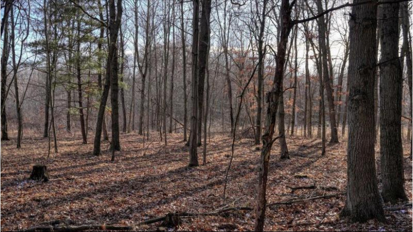 88.7+/- ACRES Highway 80 Lisbon, WI 53950 by Whitetail Dreams Real Estate $366,000