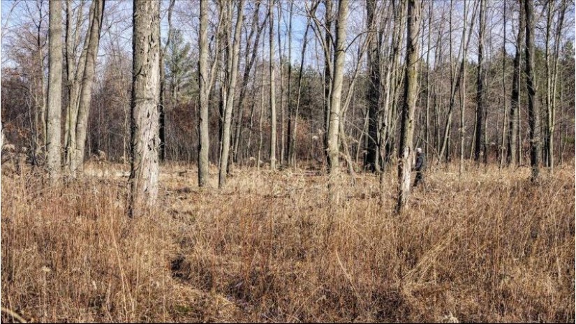 88.7+/- ACRES Highway 80 Lisbon, WI 53950 by Whitetail Dreams Real Estate $366,000