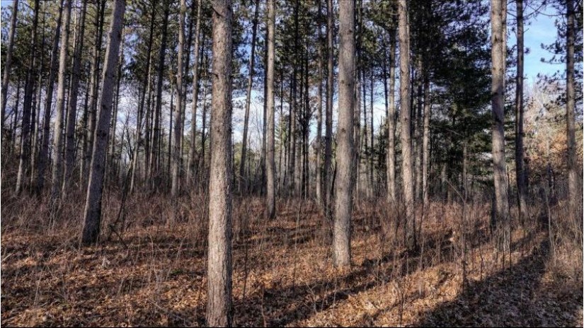 88.7+/- ACRES Highway 80 Lisbon, WI 53950 by Whitetail Dreams Real Estate $366,000