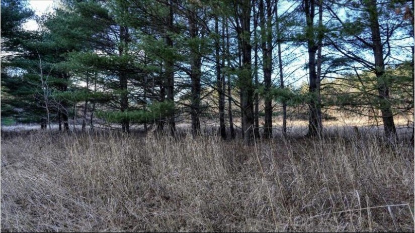 88.7+/- ACRES Highway 80 Lisbon, WI 53950 by Whitetail Dreams Real Estate $366,000