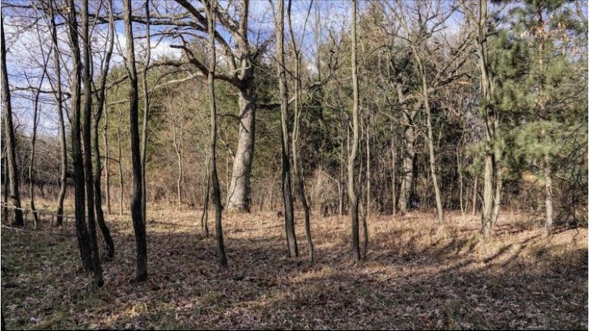 88.7+/- ACRES Highway 80 Lisbon, WI 53950 by Whitetail Dreams Real Estate $366,000