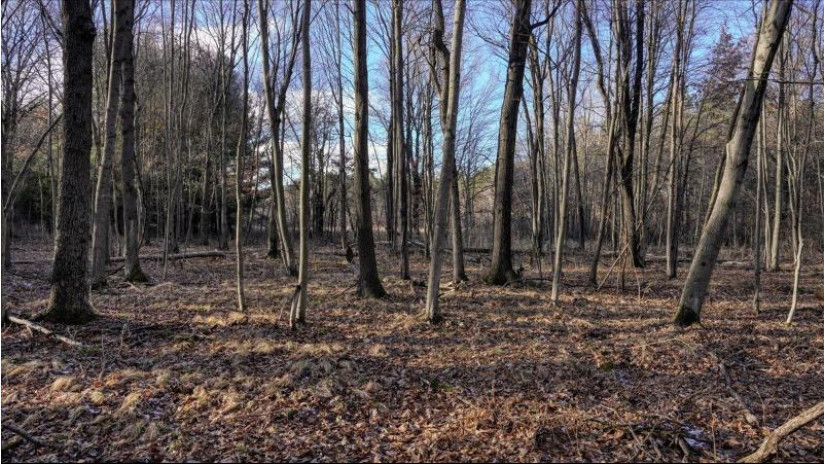 88.7+/- ACRES Highway 80 Lisbon, WI 53950 by Whitetail Dreams Real Estate $366,000