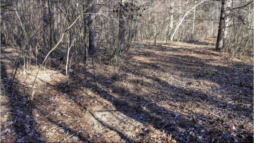 88.7+/- ACRES Highway 80 Lisbon, WI 53950 by Whitetail Dreams Real Estate $366,000