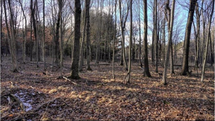 88.7+/- ACRES Highway 80 Lisbon, WI 53950 by Whitetail Dreams Real Estate $366,000
