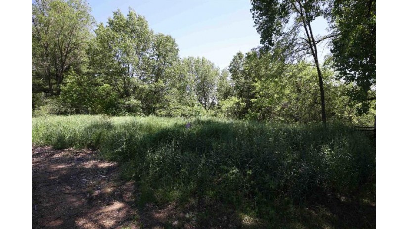 LOT 29 Summit Drive Pacific, WI 53954 by Reierson Realty, Llc - Pref: 920-296-8891 $50,000