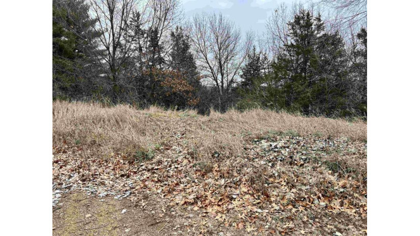 LOT 29 Summit Drive Pacific, WI 53954 by Reierson Realty, Llc - Pref: 920-296-8891 $50,000