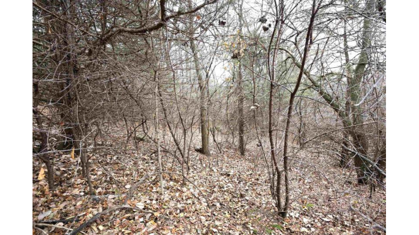 LOT 29 Summit Drive Pacific, WI 53954 by Reierson Realty, Llc - Pref: 920-296-8891 $50,000