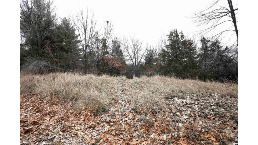 LOT 29 Summit Drive Pacific, WI 53954 by Reierson Realty, Llc - Pref: 920-296-8891 $50,000