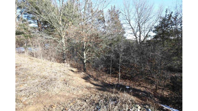 LOT 29 Summit Drive Pacific, WI 53954 by Reierson Realty, Llc - Pref: 920-296-8891 $50,000