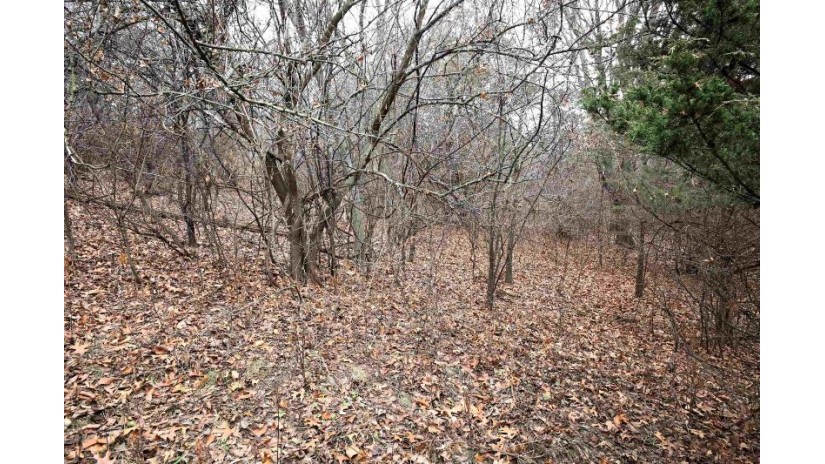 LOT 29 Summit Drive Pacific, WI 53954 by Reierson Realty, Llc - Pref: 920-296-8891 $50,000