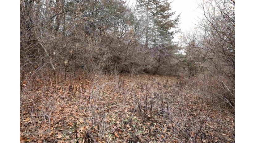 LOT 29 Summit Drive Pacific, WI 53954 by Reierson Realty, Llc - Pref: 920-296-8891 $50,000