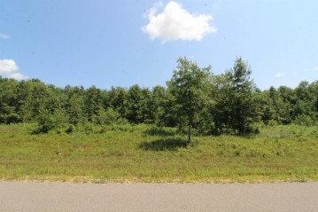 L1 White Pine, Spring Green, WI 53588