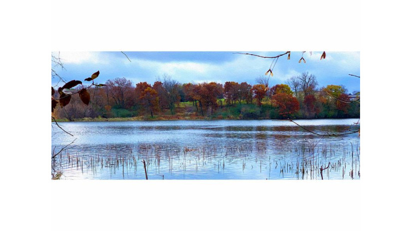 LOT 40 Belle Farm Middleton, WI 53562 by Sprinkman Real Estate $370,000