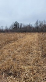 200 ACRES Birch Lane, Port Edwards, WI 54469