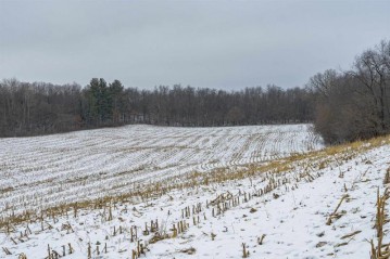 35+/- ACRES Pine Hollow Road, Arlington, WI 53911