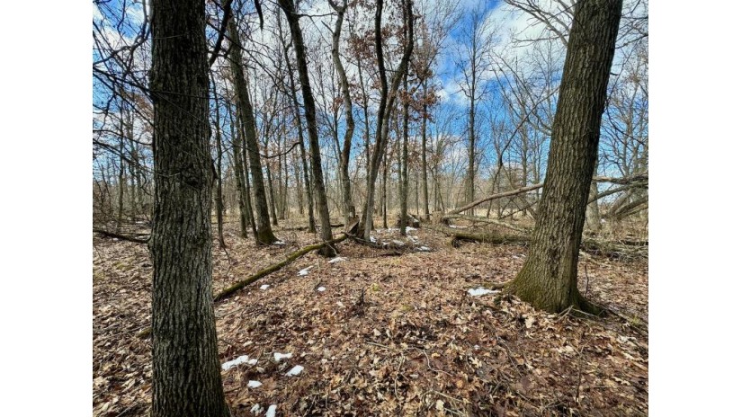 39.88AC Frontier Avenue Byron, WI 54660 by Whitetail Properties Real Estate Llc $130,000