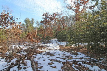 LOT10 Spruce Trail, Spring Green, WI 53588