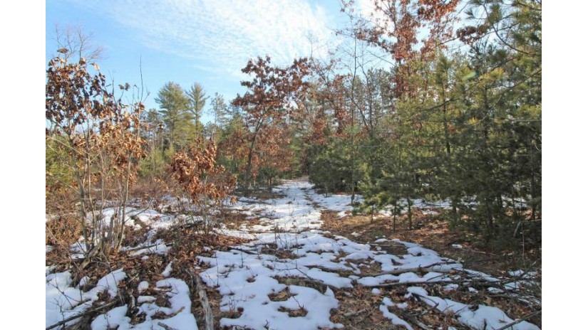 LOT10 Spruce Trail Spring Green, WI 53588 by Century 21 Affiliated - Pref: 608-574-2092 $198,000