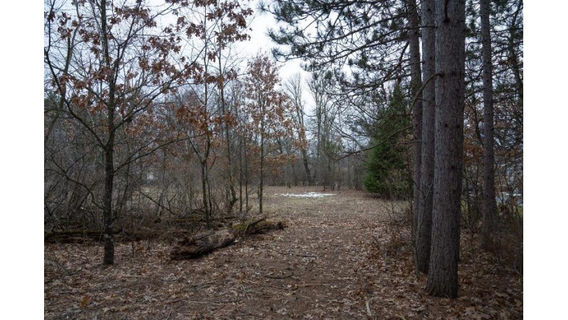 LOT 9 Ember Drive Easton, WI 53910 by Castle Rock Realty Llc - Pref: 608-547-8874 $54,000