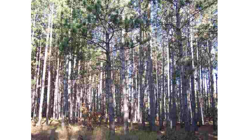 LOT 204 Raven Drive Germantown, WI 53950 by Castle Rock Realty Llc - Cell: 608-548-6900 $25,200