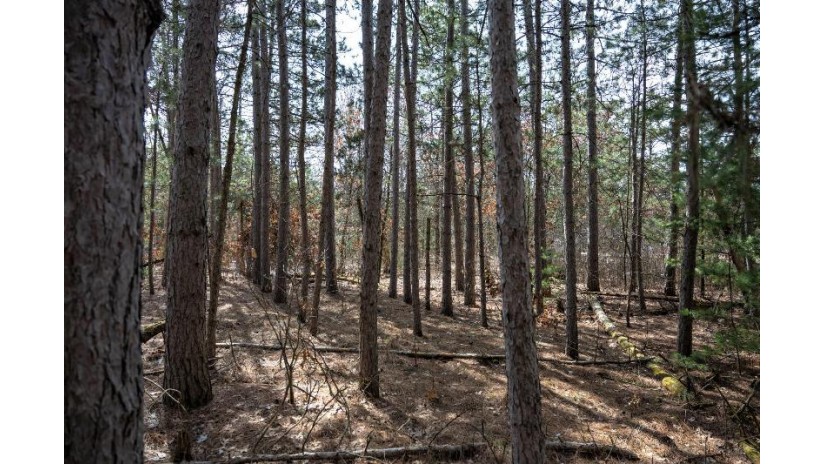 LOT 204 Raven Drive Germantown, WI 53950 by Castle Rock Realty Llc - Cell: 608-548-6900 $25,200