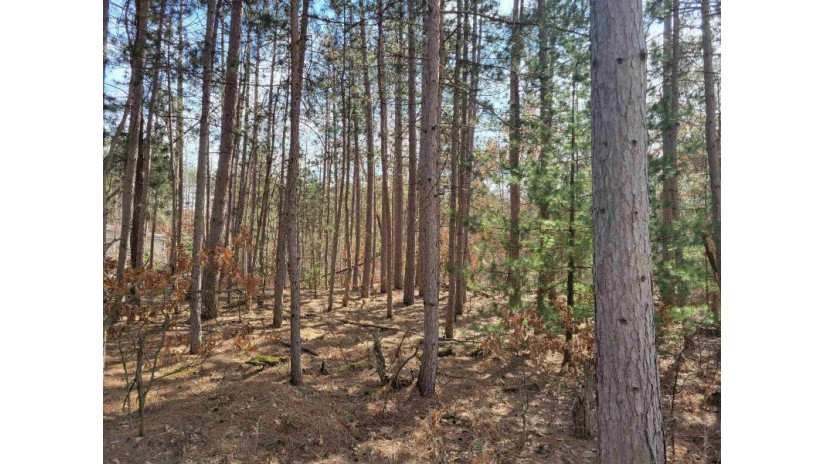 LOT 204 Raven Drive Germantown, WI 53950 by Castle Rock Realty Llc - Cell: 608-548-6900 $25,200