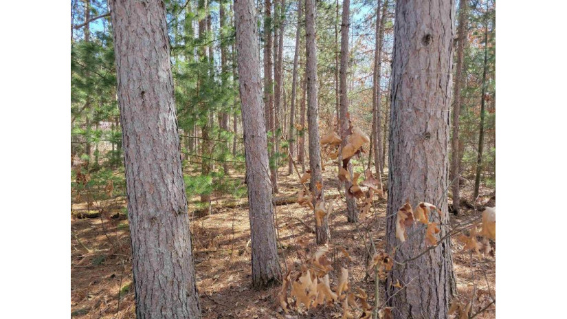 LOT 204 Raven Drive Germantown, WI 53950 by Castle Rock Realty Llc - Cell: 608-548-6900 $25,200