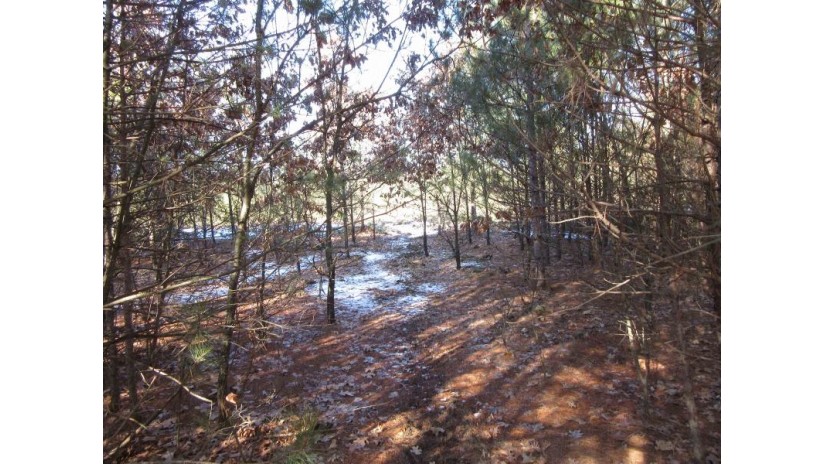 5 AC Evergreen Court Easton, WI 53910 by Century 21 Affiliated $50,000
