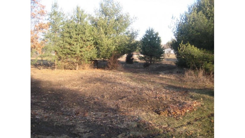 LOT 14 Meadow Drive Brooklyn, WI 54941 by Century 21 Properties Unlimited $29,900