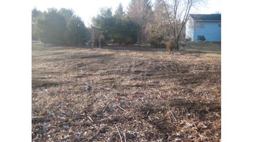 LOT 14 Meadow Drive Brooklyn, WI 54941 by Century 21 Properties Unlimited $29,900