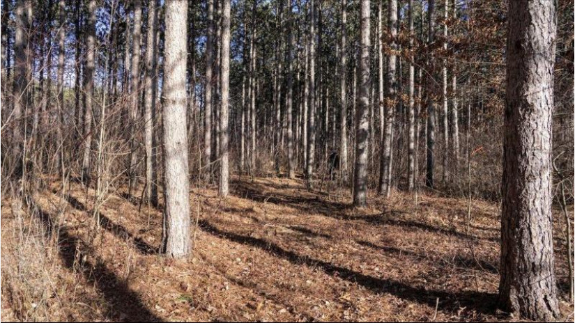 162+/- ACRES Germantown Road Lisbon, WI 53950 by Whitetail Dreams Real Estate $650,000