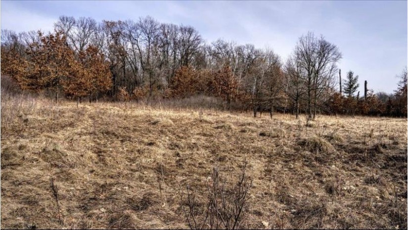 162+/- ACRES Germantown Road Lisbon, WI 53950 by Whitetail Dreams Real Estate $650,000