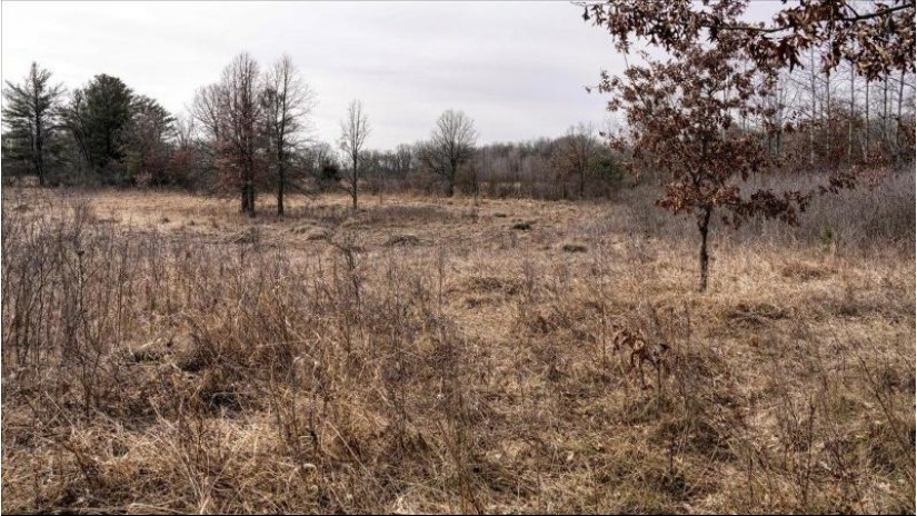 162+/- ACRES Germantown Road Lisbon, WI 53950 by Whitetail Dreams Real Estate $650,000