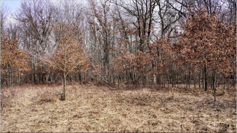 162+/- ACRES Germantown Road Lisbon, WI 53950 by Whitetail Dreams Real Estate $650,000