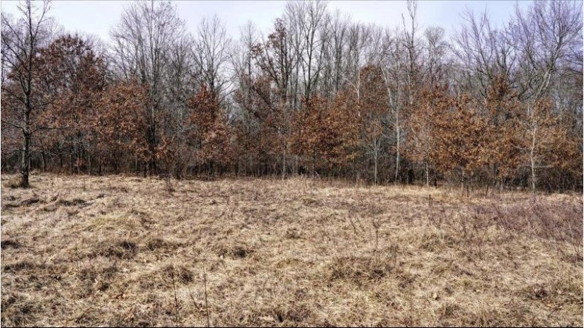 162+/- ACRES Germantown Road Lisbon, WI 53950 by Whitetail Dreams Real Estate $650,000