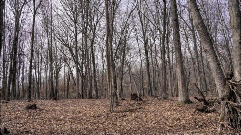 162+/- ACRES Germantown Road Lisbon, WI 53950 by Whitetail Dreams Real Estate $650,000