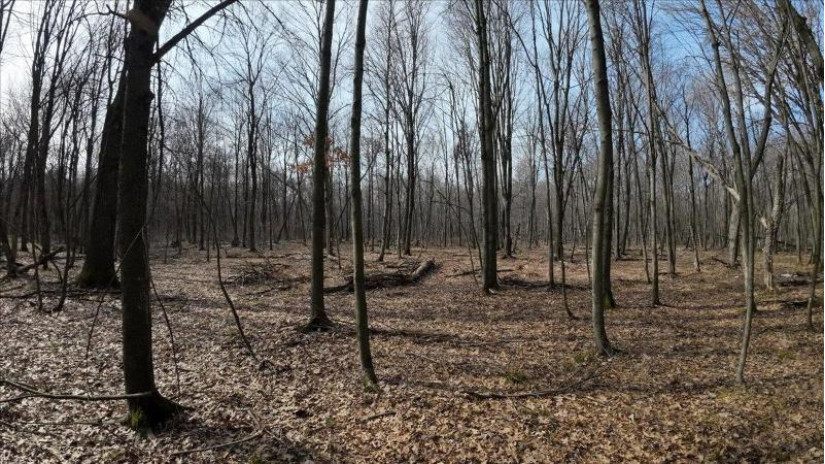 162+/- ACRES Germantown Road Lisbon, WI 53950 by Whitetail Dreams Real Estate $650,000