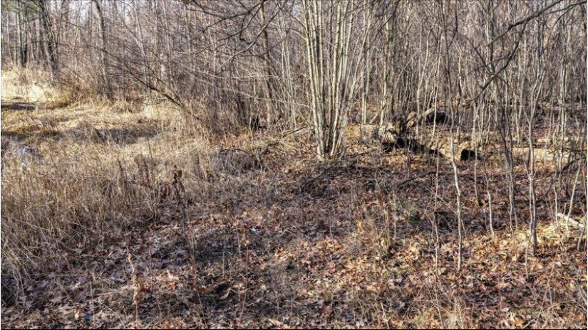 162+/- ACRES Germantown Road Lisbon, WI 53950 by Whitetail Dreams Real Estate $650,000