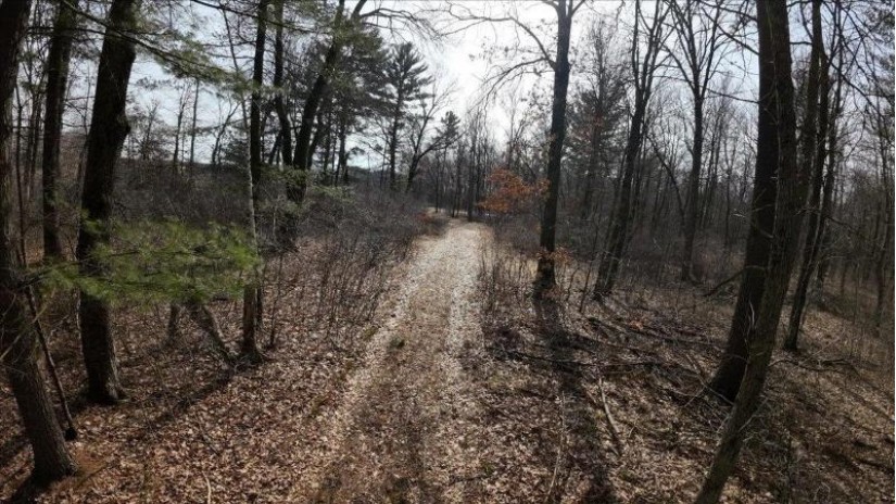 162+/- ACRES Germantown Road Lisbon, WI 53950 by Whitetail Dreams Real Estate $650,000