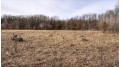 73+/- ACRES Germantown Road Lisbon, WI 53950 by Whitetail Dreams Real Estate $309,000