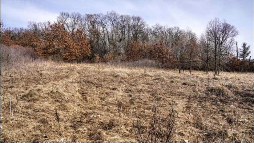 73+/- ACRES Germantown Road Lisbon, WI 53950 by Whitetail Dreams Real Estate $309,000