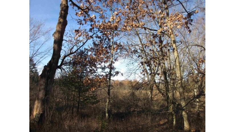 1.6 ACRES Deer Run Road Packwaukee, WI 53949 by Century 21 Affiliated $75,000