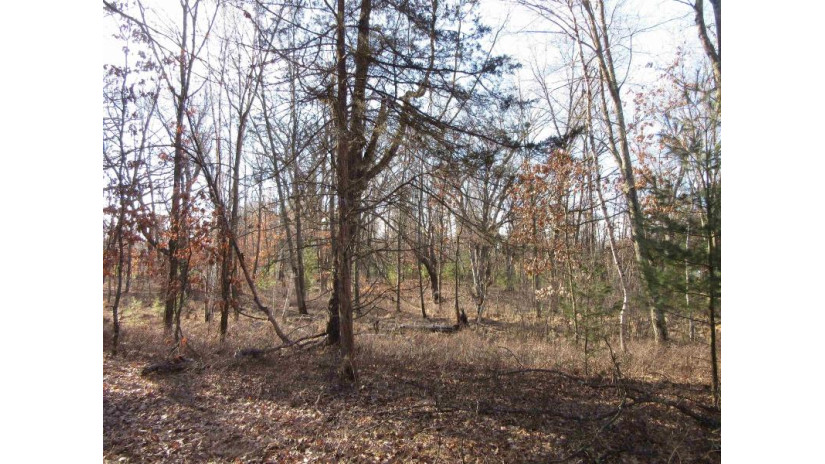 1.6 ACRES Deer Run Road Packwaukee, WI 53949 by Century 21 Affiliated $75,000