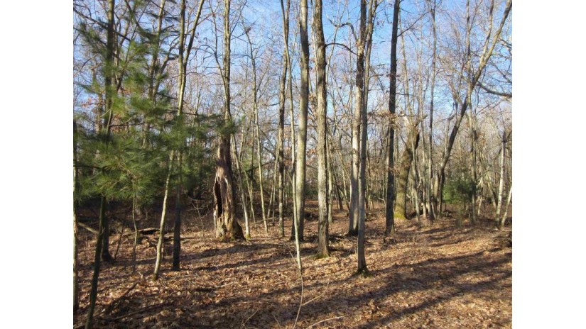 1.6 ACRES Deer Run Road Packwaukee, WI 53949 by Century 21 Affiliated $75,000