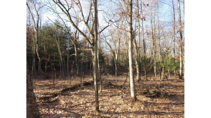 1.6 ACRES Deer Run Road Packwaukee, WI 53949 by Century 21 Affiliated $75,000