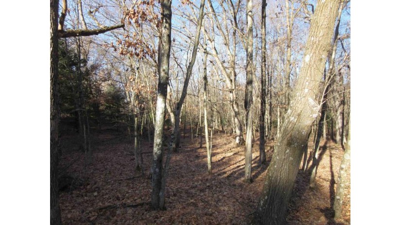 1.6 ACRES Deer Run Road Packwaukee, WI 53949 by Century 21 Affiliated $75,000