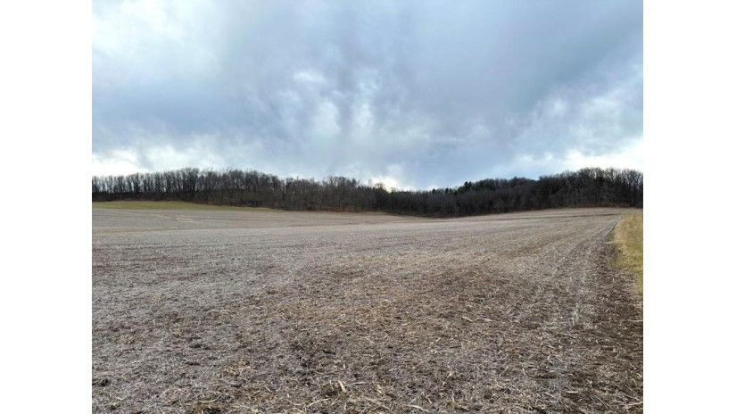 73 +/- ACRES Hidden Springs Lane Eagle, WI 53573 by Weiss Realty Llc $695,000